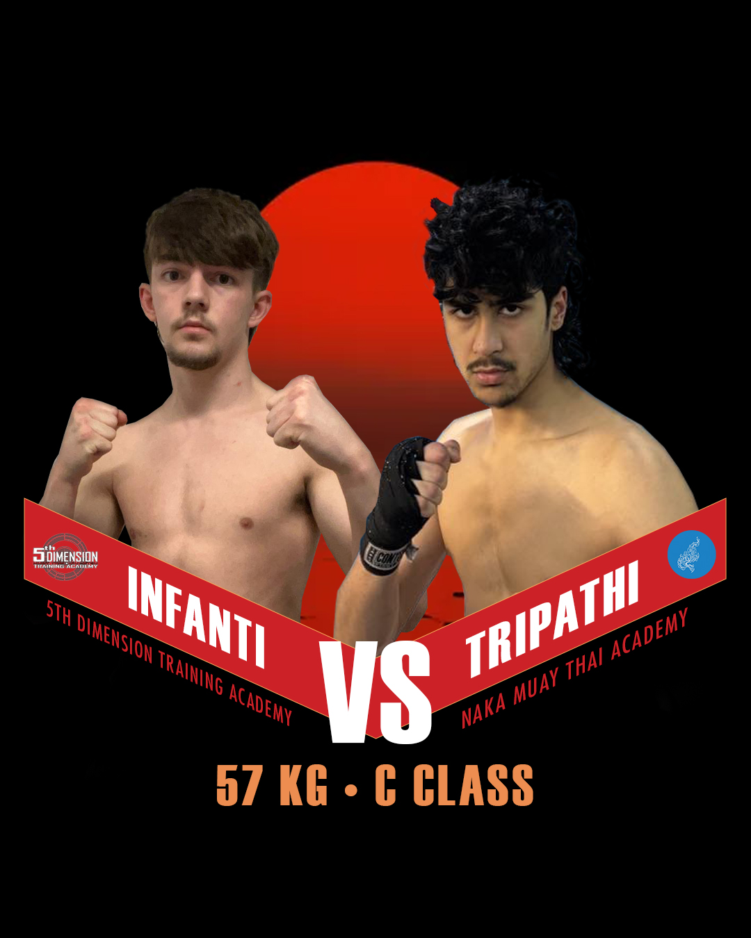 Fighter 8