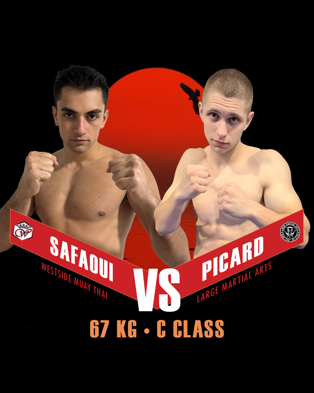 Fighter 14