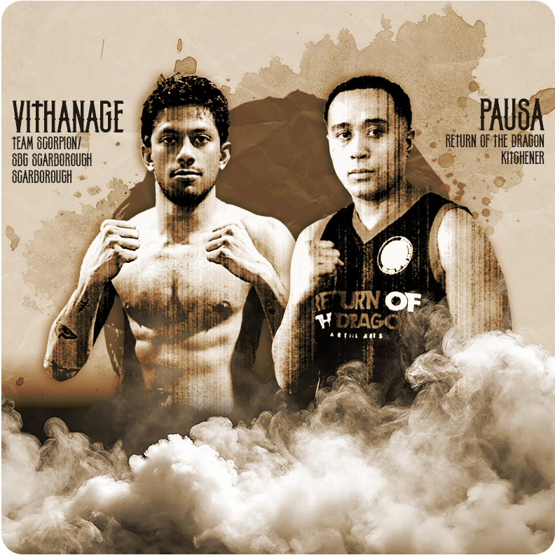 Fighter 8