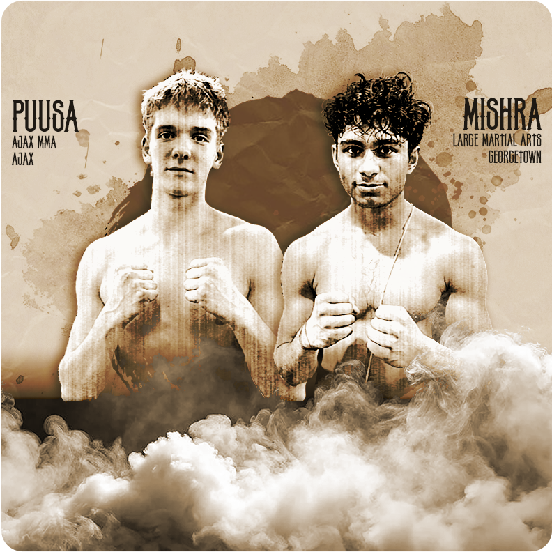 Fighter 12