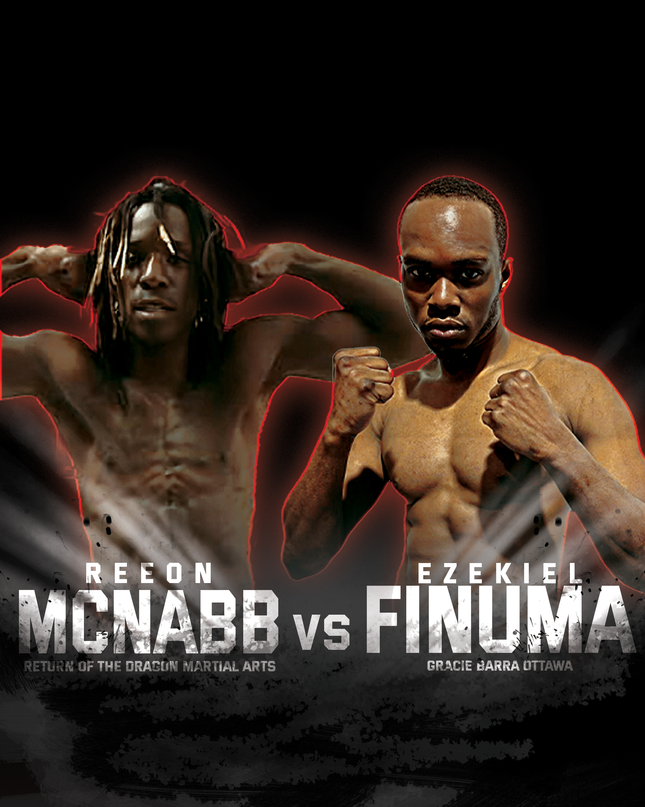 Fighter 13